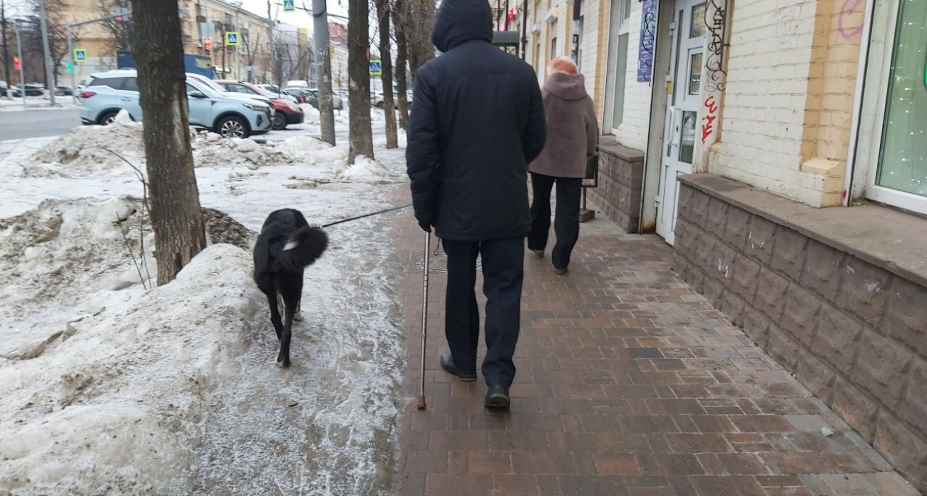 Ярославские приставы рассказали о аресте домашних животных  