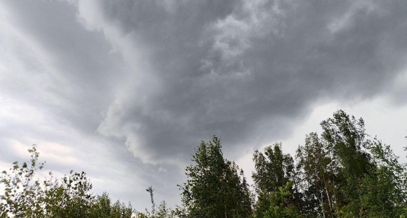 Деревообрабатывающий завод в Даниловском округе уличили в незаконных выбросах после жалоб жителей