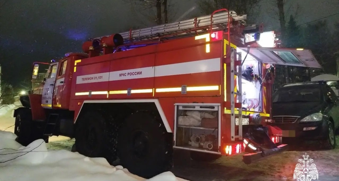 В пожаре в Переславле погибла кошка