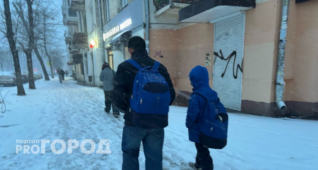 Ярославскую область резко накроют метель и гололедица