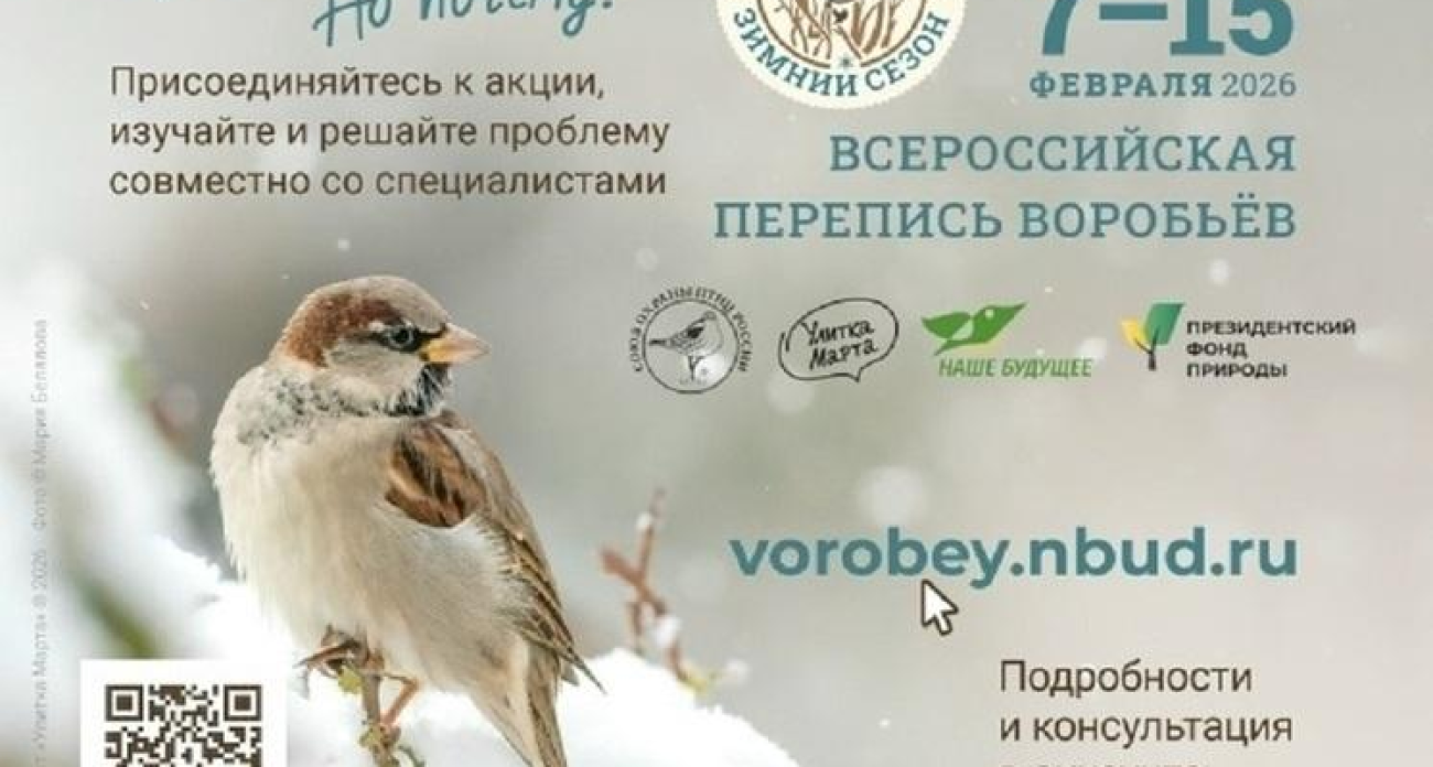 2881 воробей на кустах: 179 волонтеров Ярославской области завершили ежегодный птичий подсчет