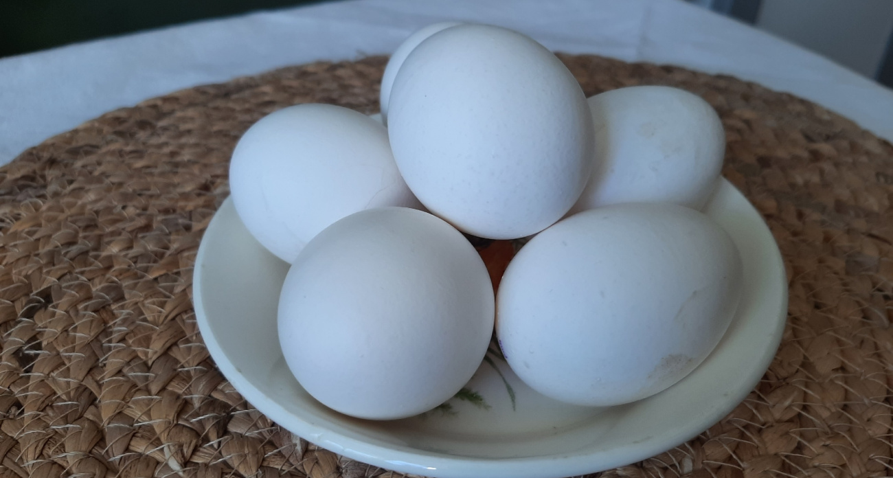 Съедал одно яйцо в день и перестал бояться инфаркта: кардиолог Бокерия назвала продукт, который чистит сосуды лучше таблеток