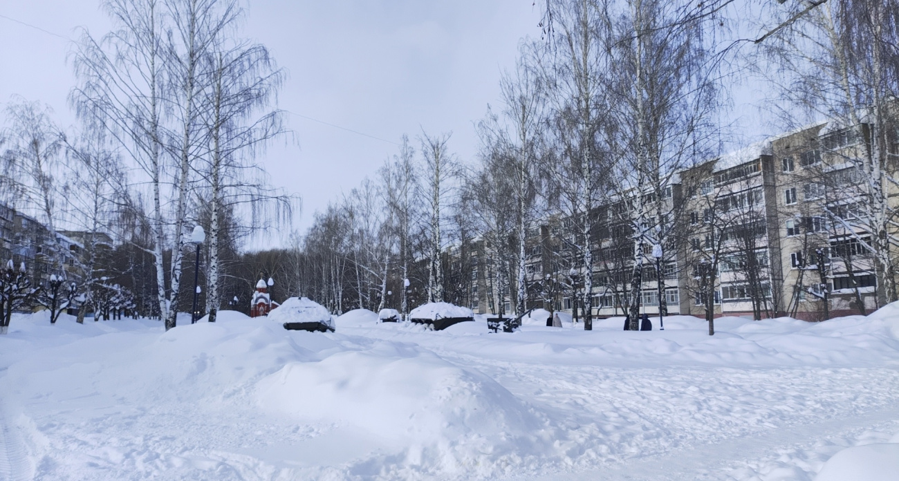 Не убирайте лопаты далеко: циклоны обрушат на Центральную Россию две месячные нормы снега за неделю