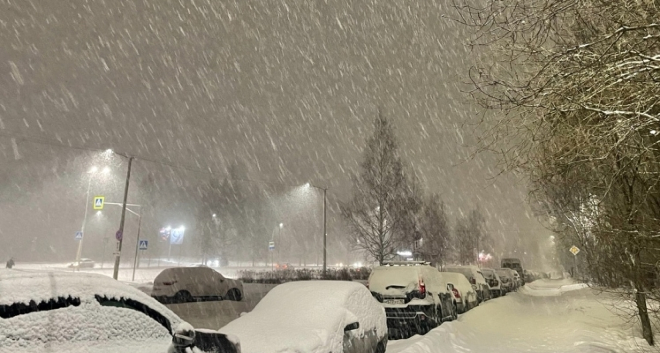 Метель объявила транспортный саботаж — ярославцам советуют сидеть дома