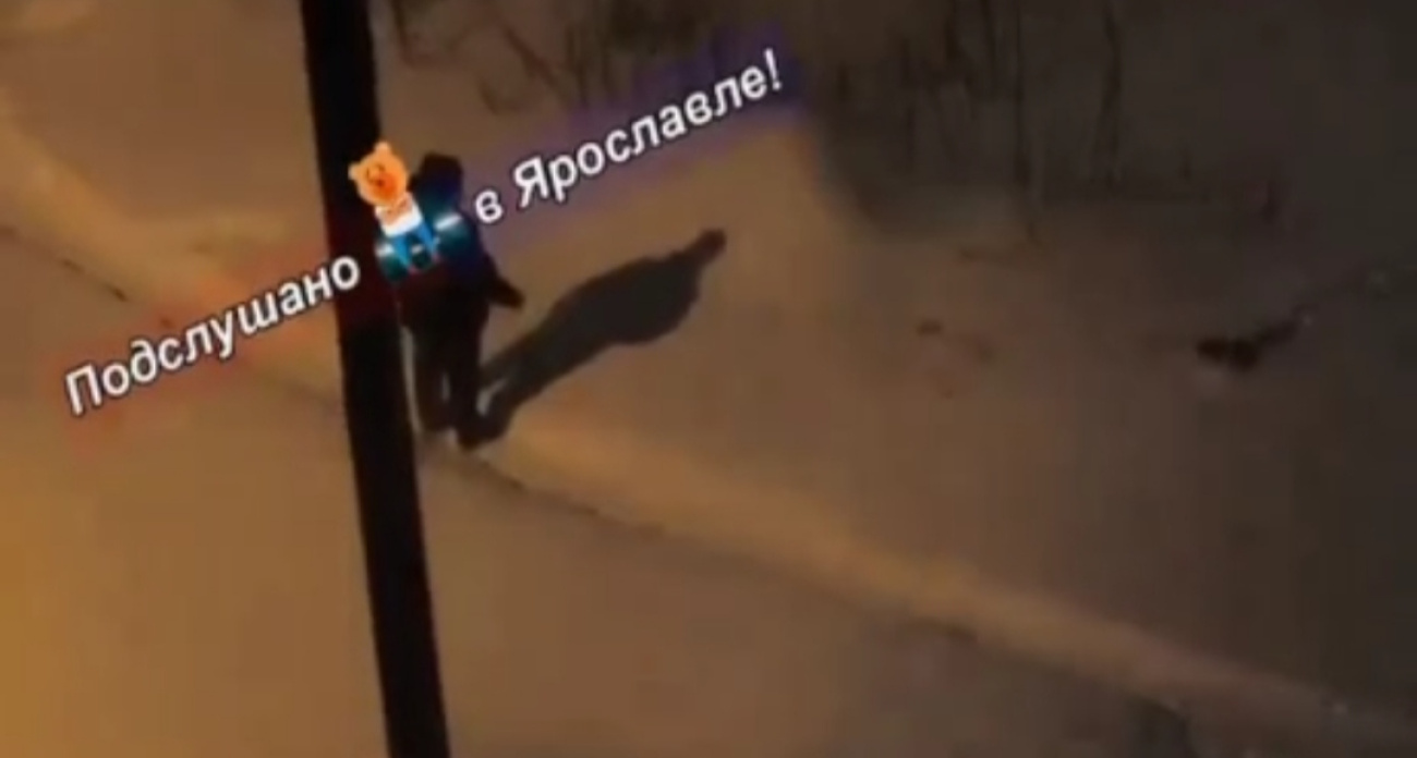  В Ярославле мужчина швырял собаку в снег