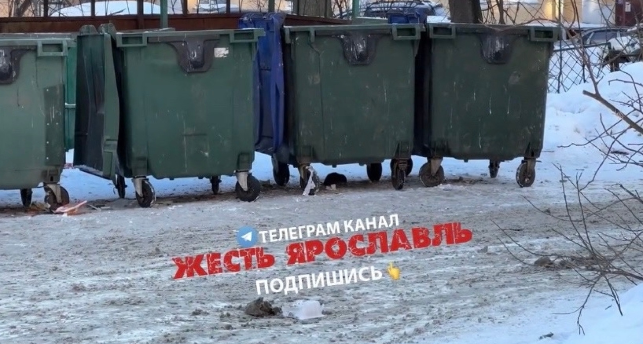 В Ярославле появился  лжесайт санэпидстанции 