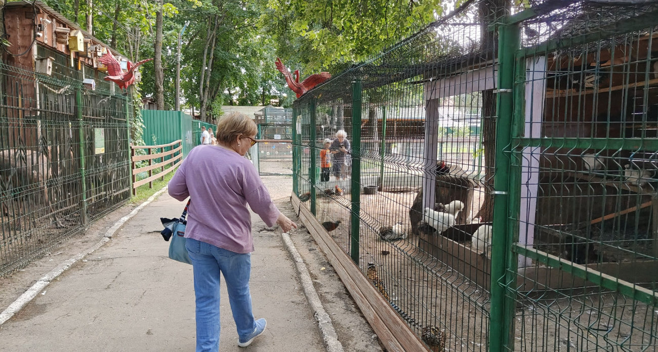 Пытка жарой и неудачное сафари: честный рассказ о поездке в знаменитый зоопарк под Бангкоком