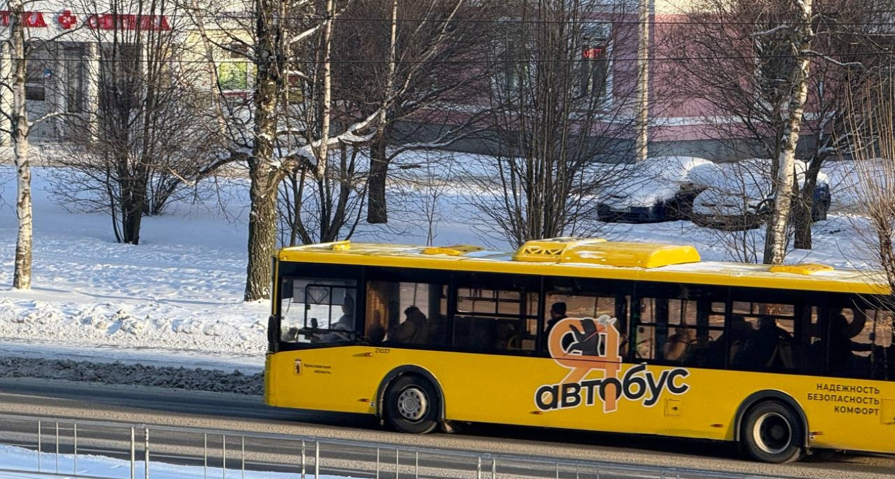 Ярославцы пожаловались на автобусы больше 300 раз