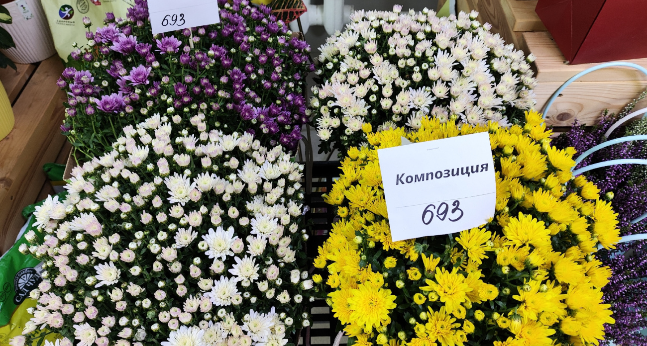 Россияне уже готовят кошельки: эксперт рассказал, как не разориться на букетах к 8 Марта