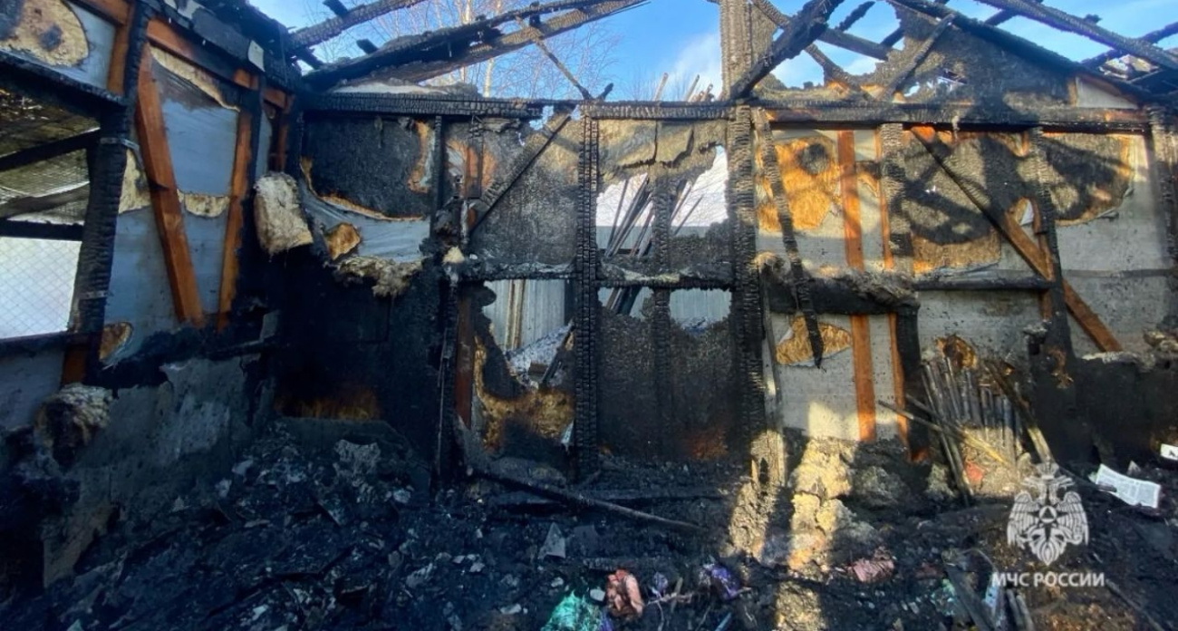 В Ярославской области в пожаре погибли куры