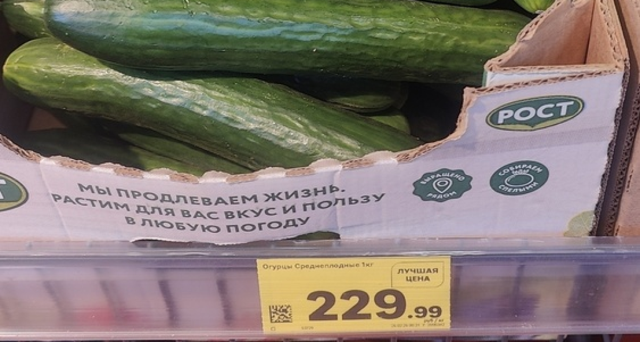 Огурцы в Ярославле подешевели с 500 рублей за килограмм