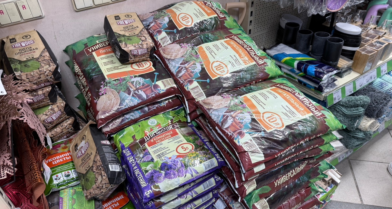 Выбираем рассаду без ошибок: на что смотреть в первую очередь, чтобы не вырастить "пустую ботву"