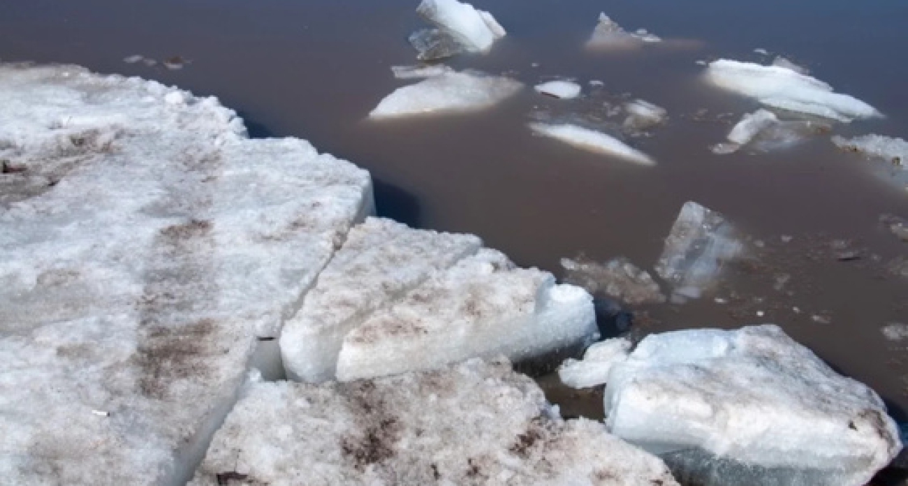 Лёд в Тутаеве стал тоньше 15 см — переправу экстренно закрыли