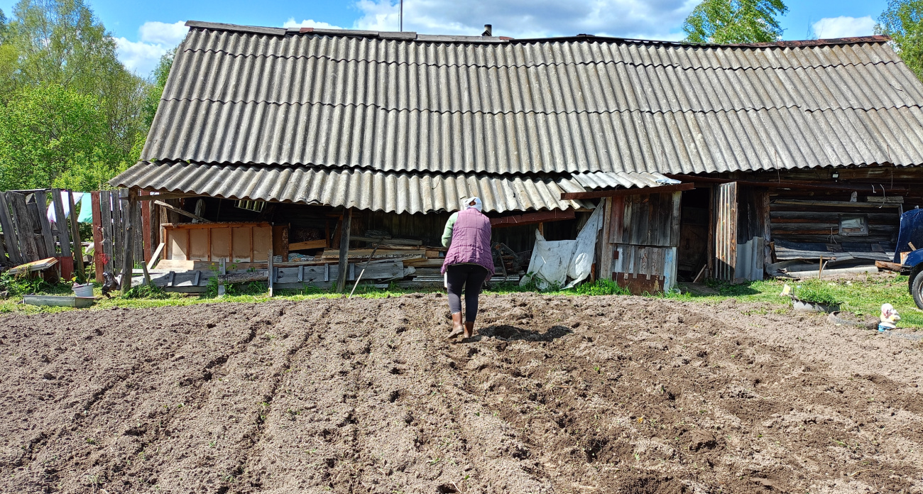 Вскопал грядку — вышел из депрессии: ученые признали огород лучшим фитнесом и природным антидепрессантом