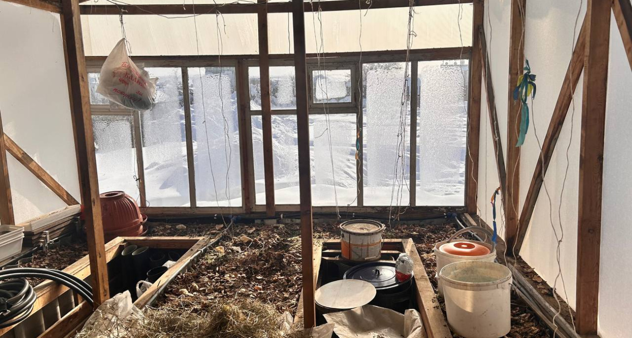 Продавцы молчат об этом: список весенних покупок для огорода, которые никогда не окупаются — запомните и не берите