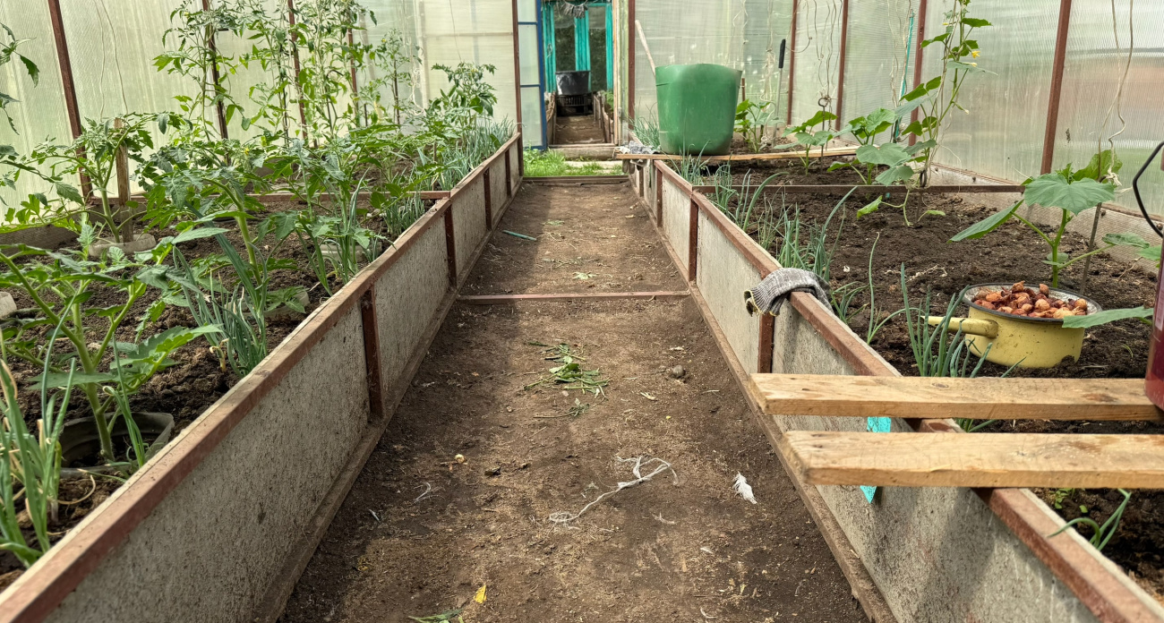 Март — месяц, когда нельзя ошибаться: полный список овощей и цветов для рассады — успейте посеять вовремя