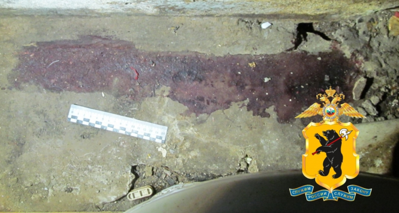 Он не пожалел даже мать: полиция раскрыла двойное убийство в Рыбинске