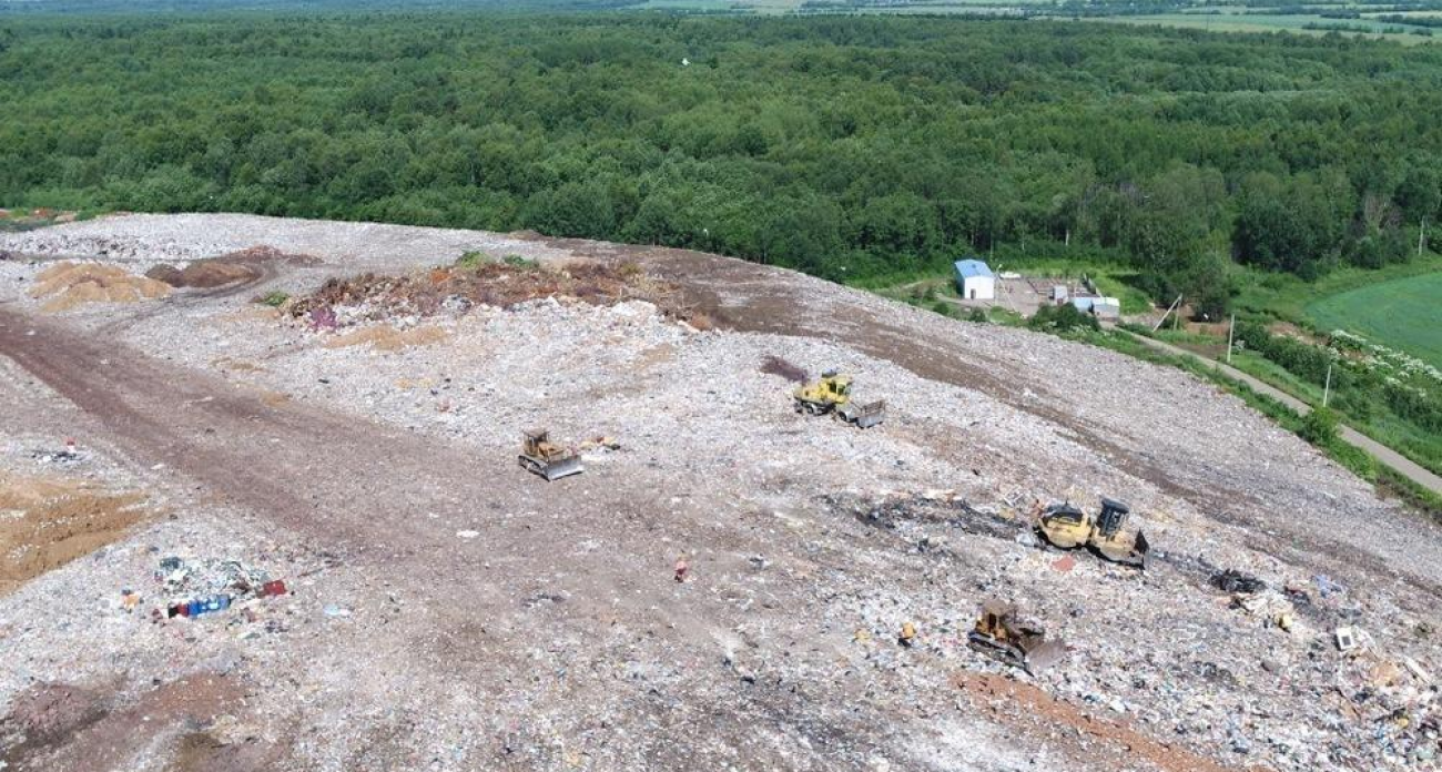 В Скоково срубят деревья ради мусорного комплекса на 220 тысяч тонн