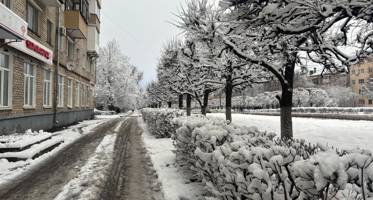 Солнце выглянет, но радоваться рано: синоптики раскрыли сюрпризы погоды на 7 и 8 марта — ветер разгонится до 15 м/с