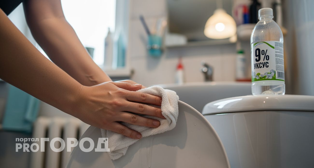 Залила уксус в унитаз на ночь — утром даже муж не поверил что это наша сантехника