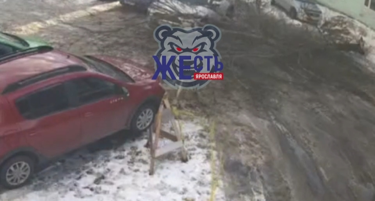 В Ярославле дерево упало на линии электропередач