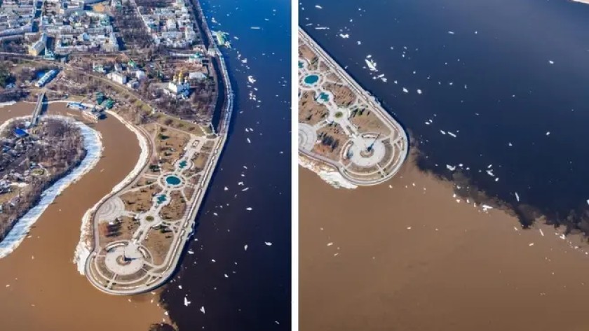 Александр Давидик с сайта n1s1.hsmedia.ru