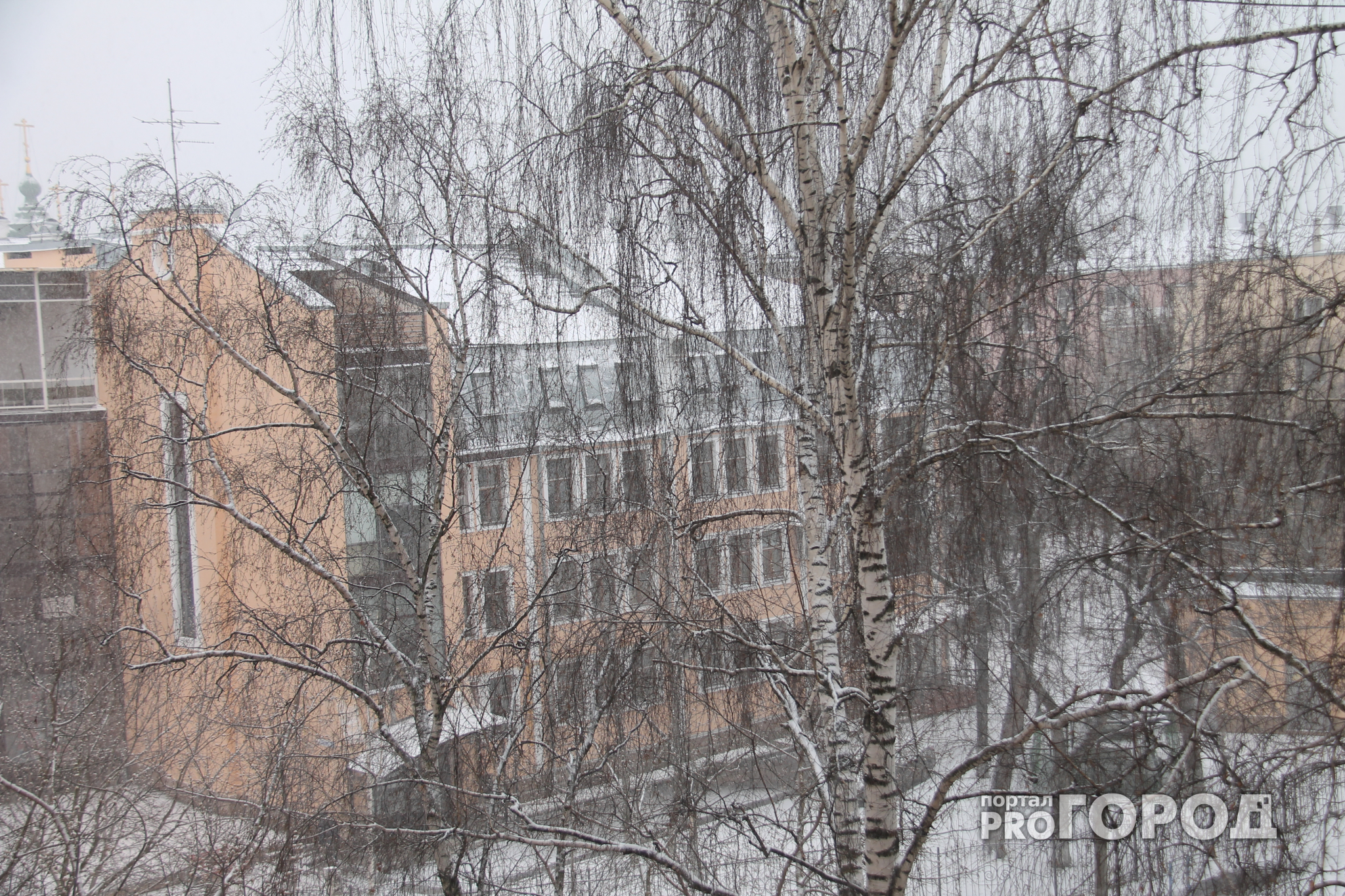 Зима в Ярославле наступила весной: подборка фото