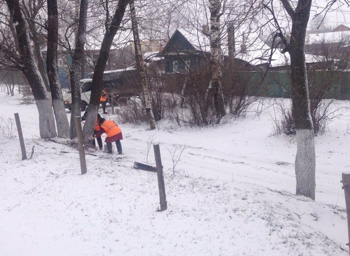 У природы нет плохой погоды: в Ярославле во время снегопада белили деревья