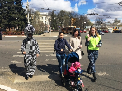 В Ярославле горожан через дорогу переводила зебра