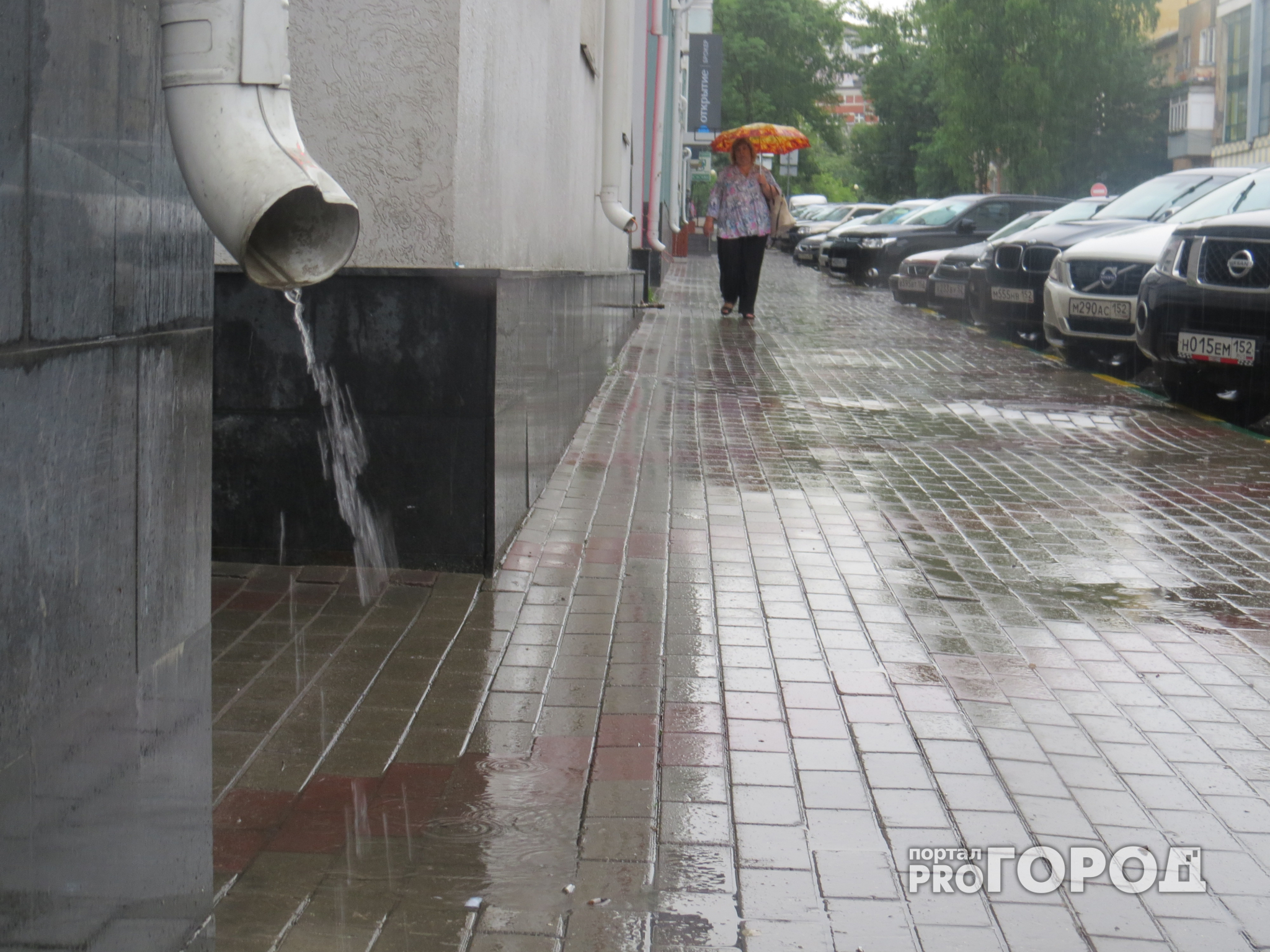В День Победы в Ярославле пойдет дождь