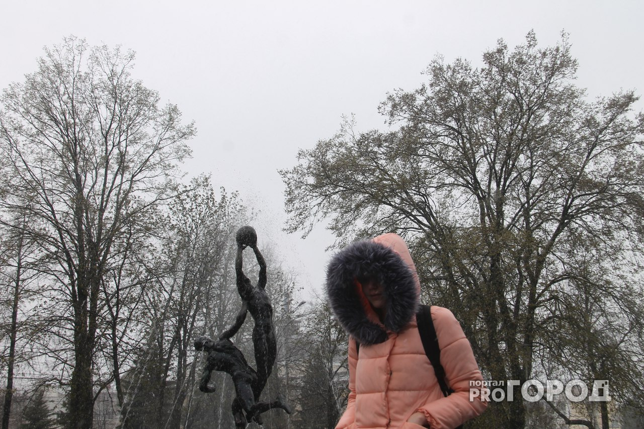 В среду в Ярославле опять обещают мокрый снег