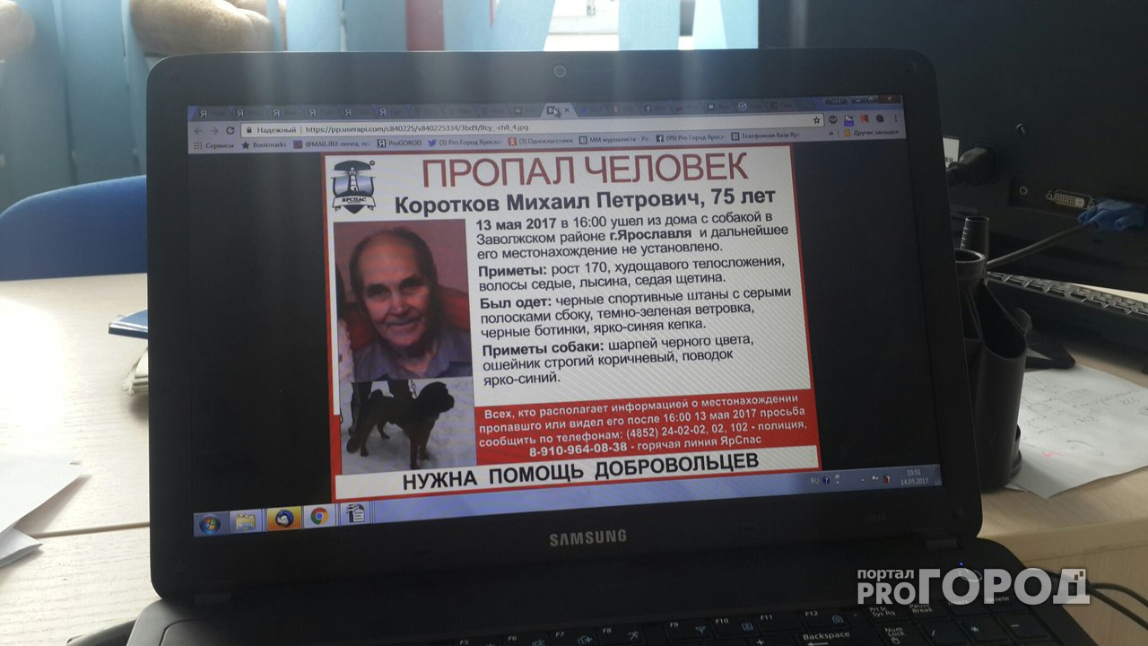Пропавшего пенсионера с шарпеем нашли мертвым недалеко от Ярославля