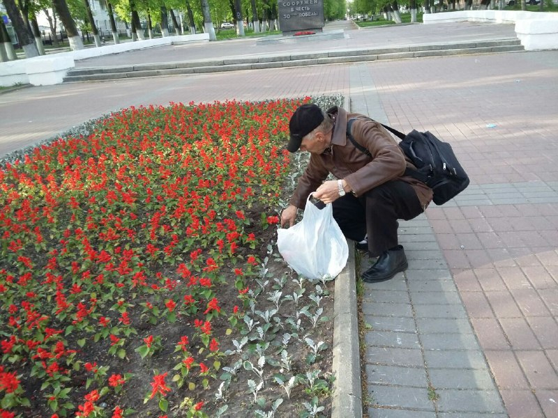 Ярославский чиновник пристыдила цветочного вора