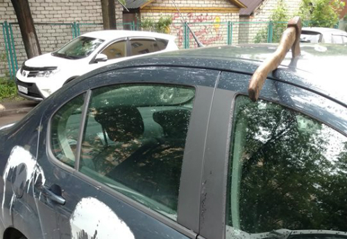 В Ярославле автомобильные «Раскольниковы» воткнули в крышу «Пежо» топор