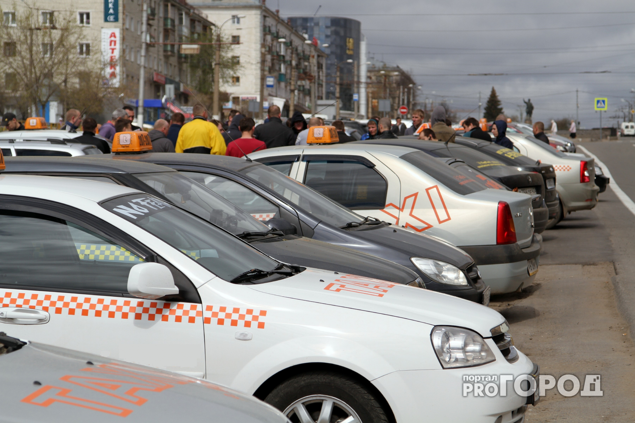 За полгода ярославцы забывали в такси собаку и телефон из золота