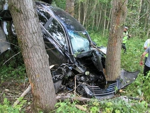 ДТП в Ярославской области: иномарку намотало на дерево