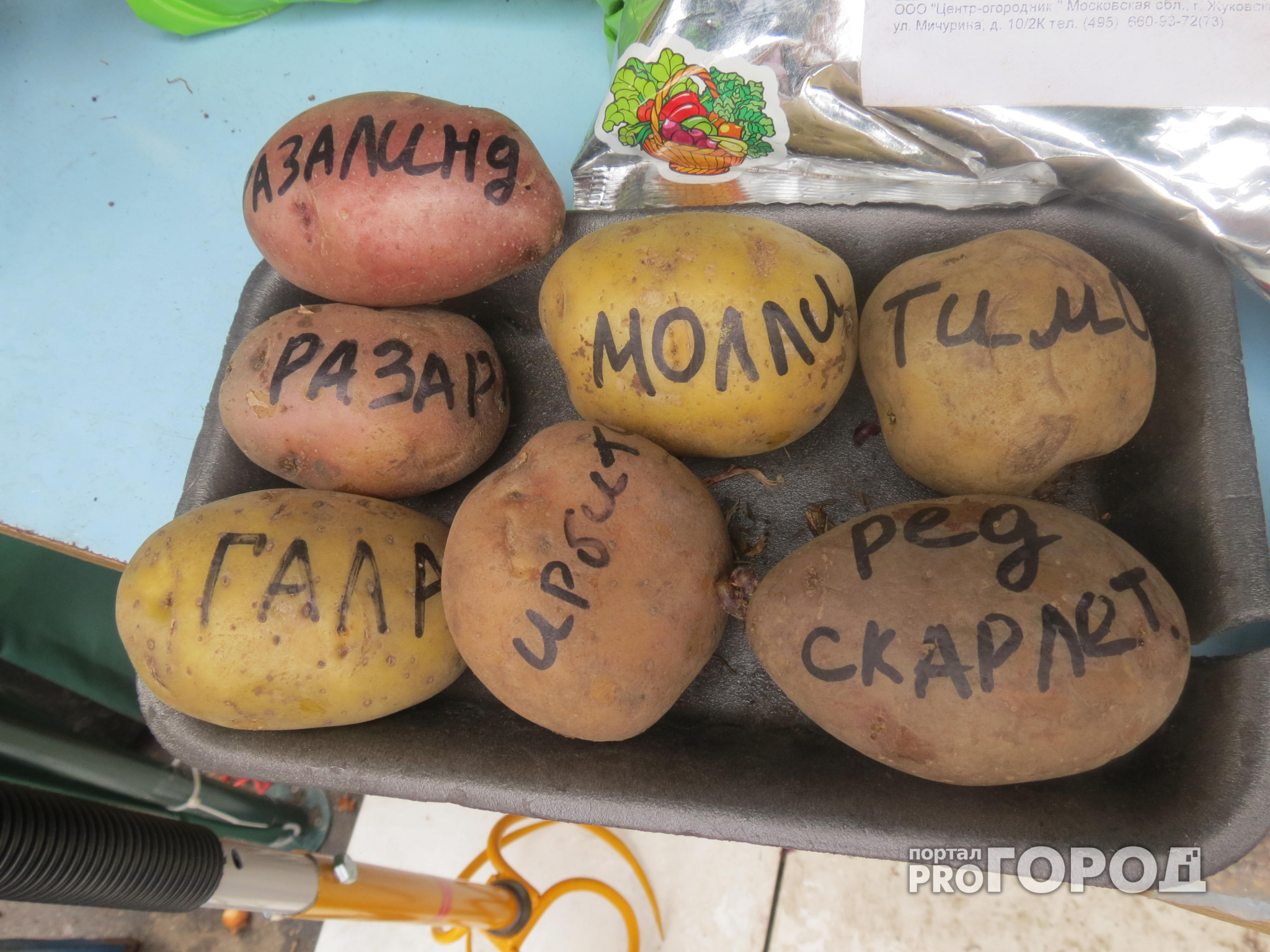Крым будет выращивать картофель для жителей Ярославля