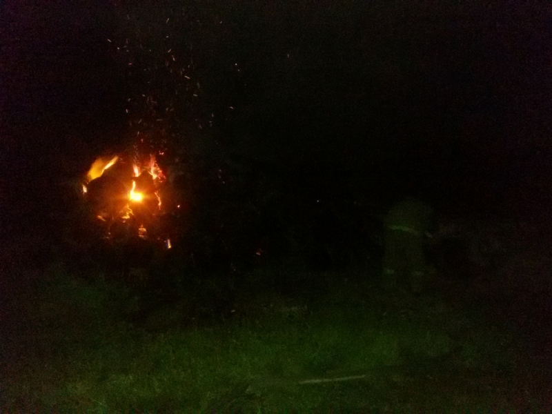 В Ярославской области вечером вспыхнул штабель леса