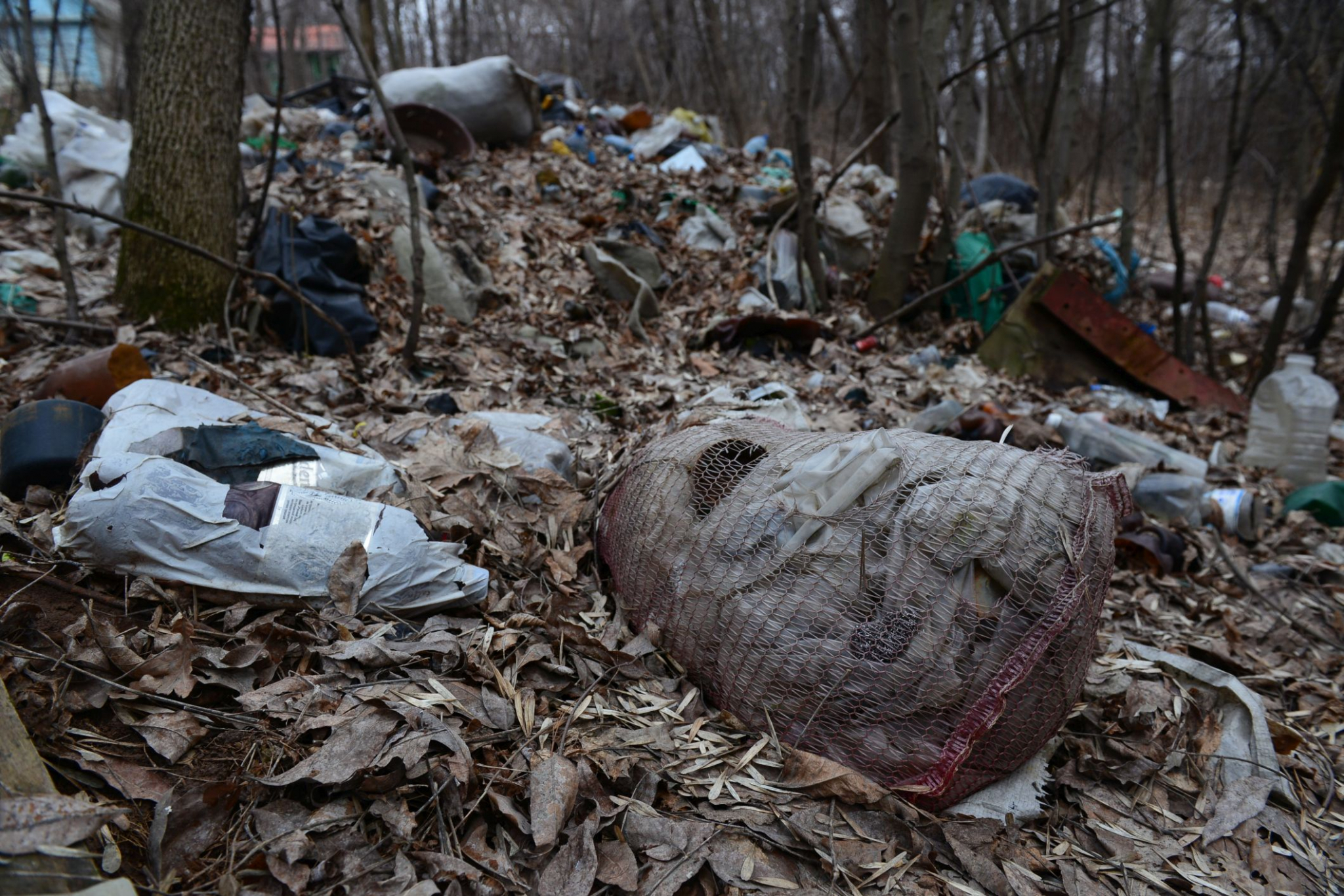 «Мусорное дело»: под Ярославлем из-за сломавшихся машин отходы свалили на берег реки