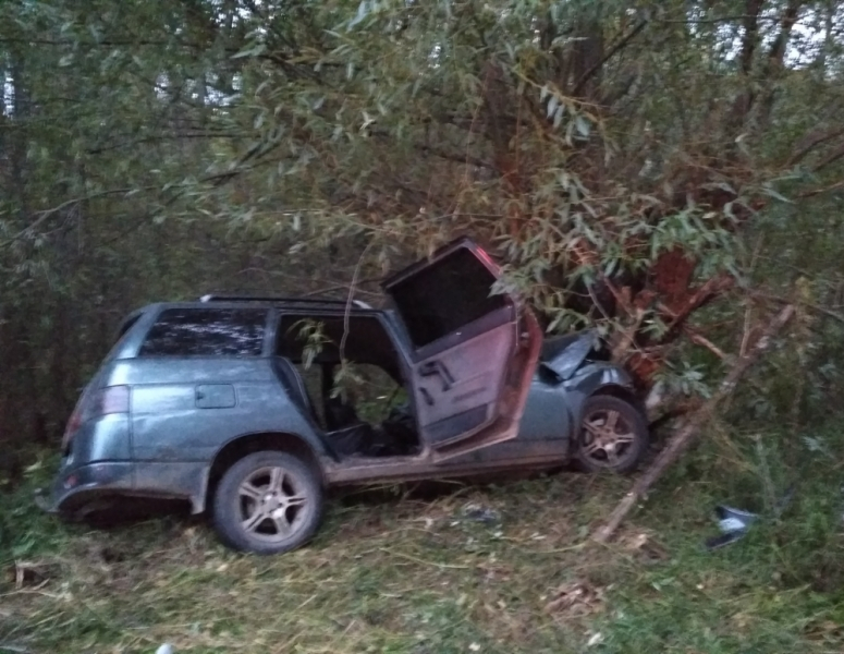 Под Ярославлем легковушка влетела в дерево: погибли люди