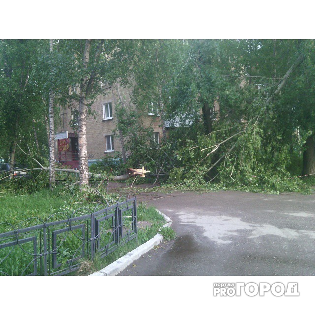 Ярославцев предупредили о резком усилении ветра
