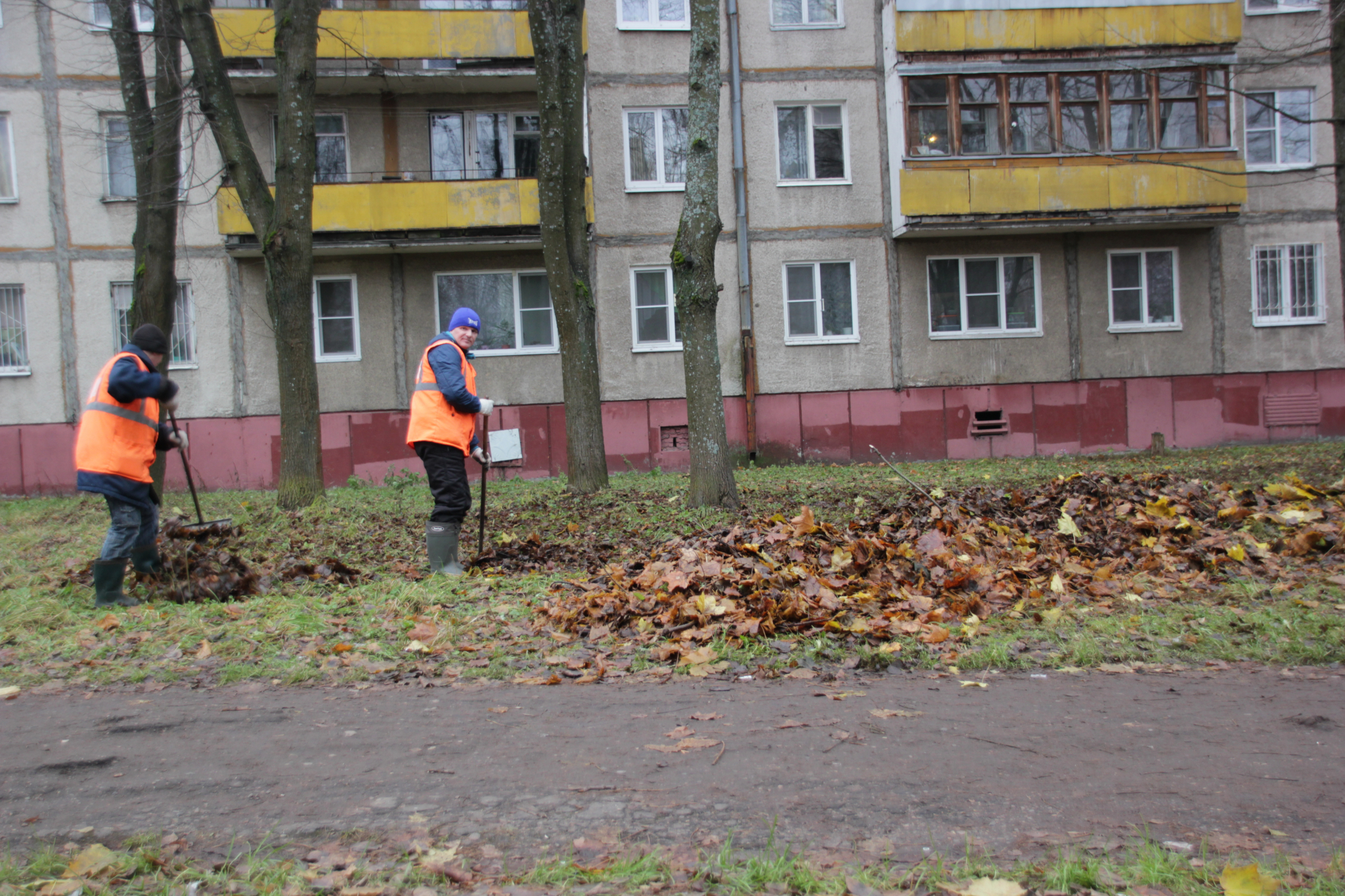В Дзержинском районе Ярославля уборку территорий взяли под контроль