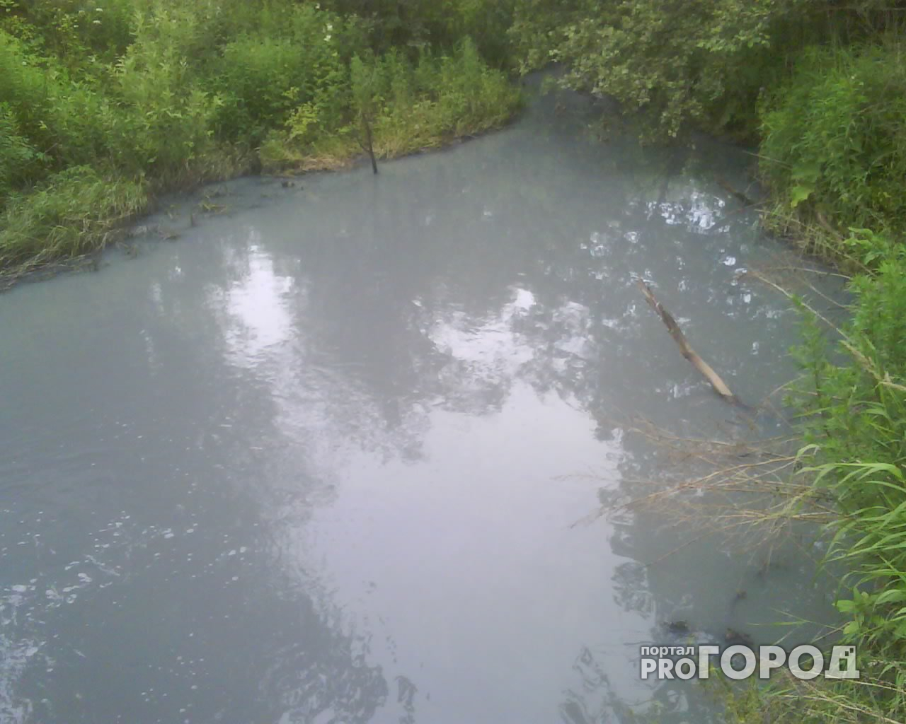Под Ярославлем сточные воды попадают по канаве в пруд
