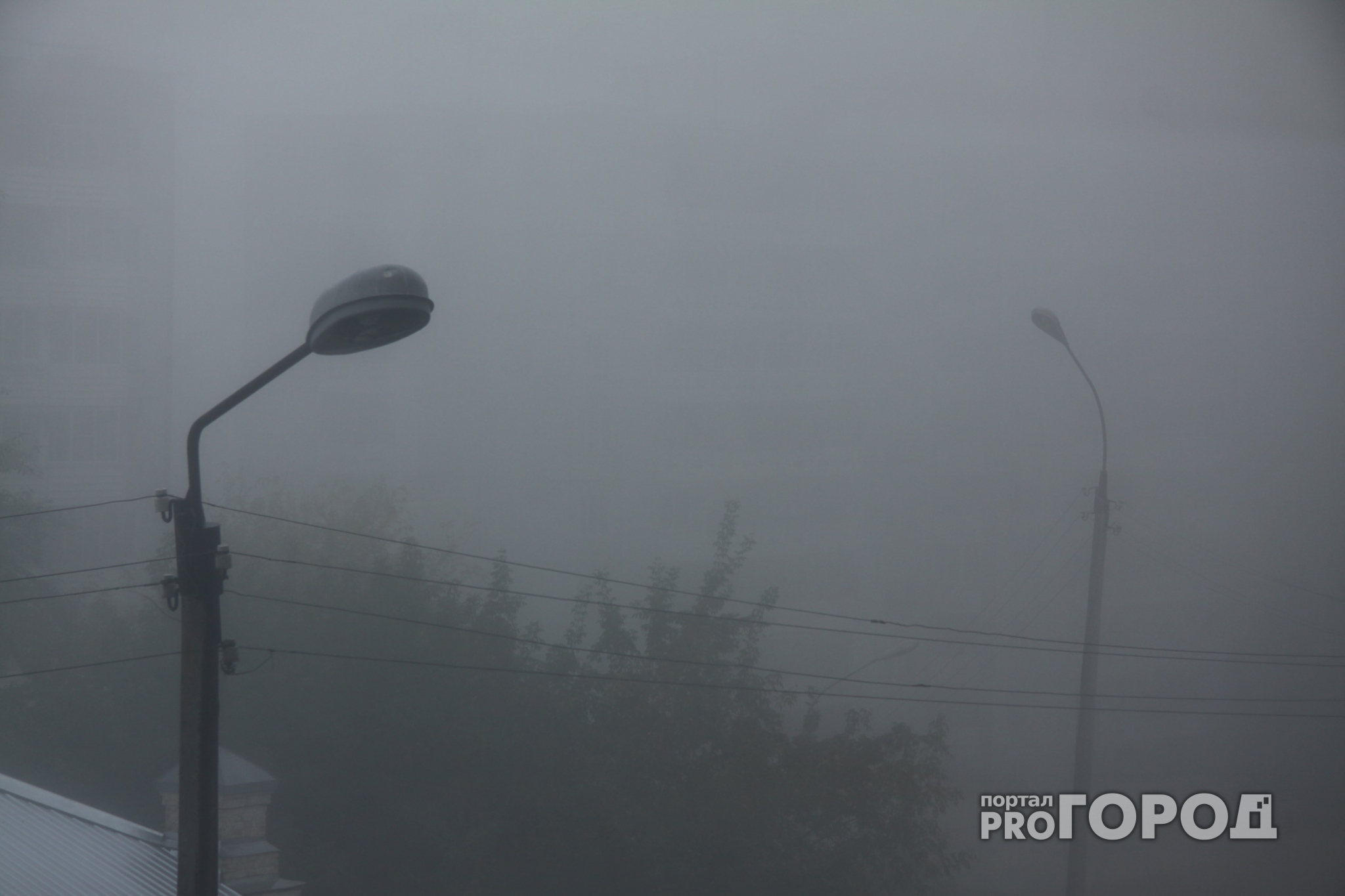 В понедельник в Ярославле обещают мокрый снег и туман