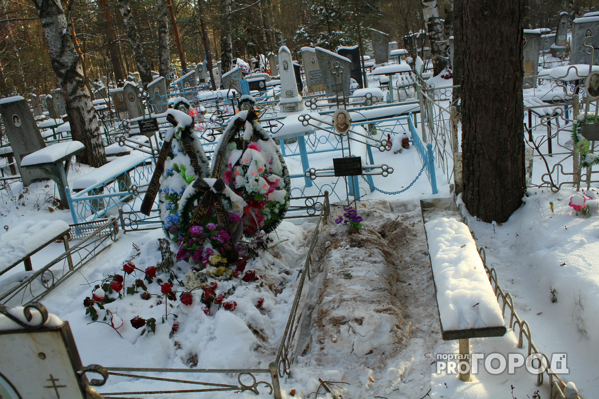 Под Ярославлем главу сельского поселения наказали за кладбище