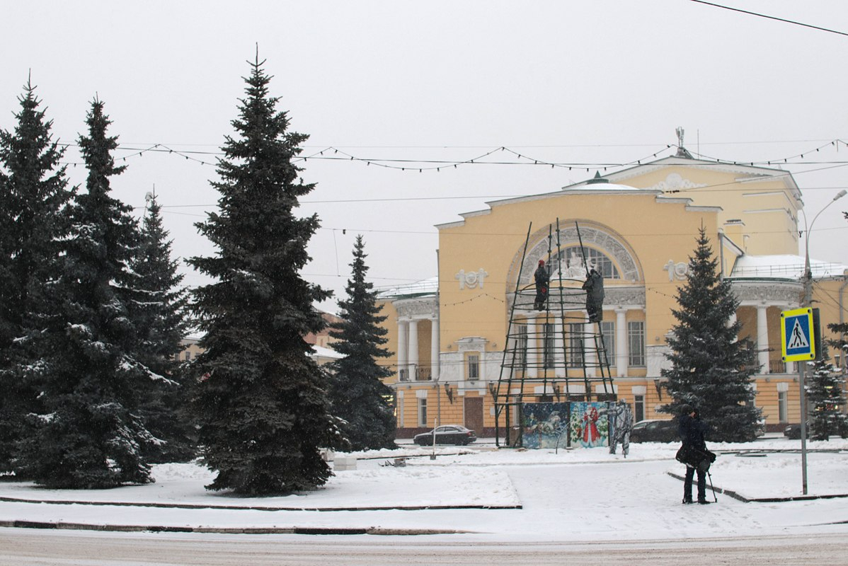 Озвучены сроки установки новогодних елок в Ярославле