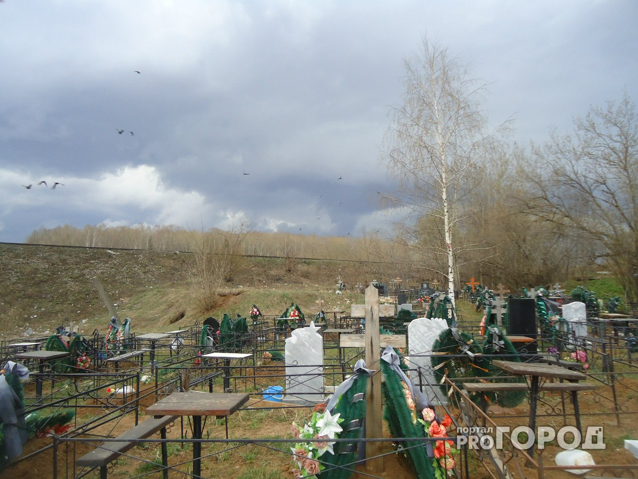 В Ярославской области поймали расхитителей могил