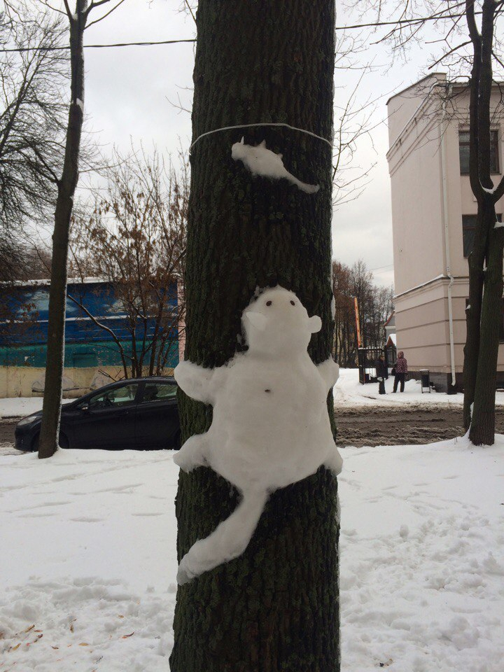 Они лезут на деревья и занимают скамейки: ярославцы налепили забавных снеговиков