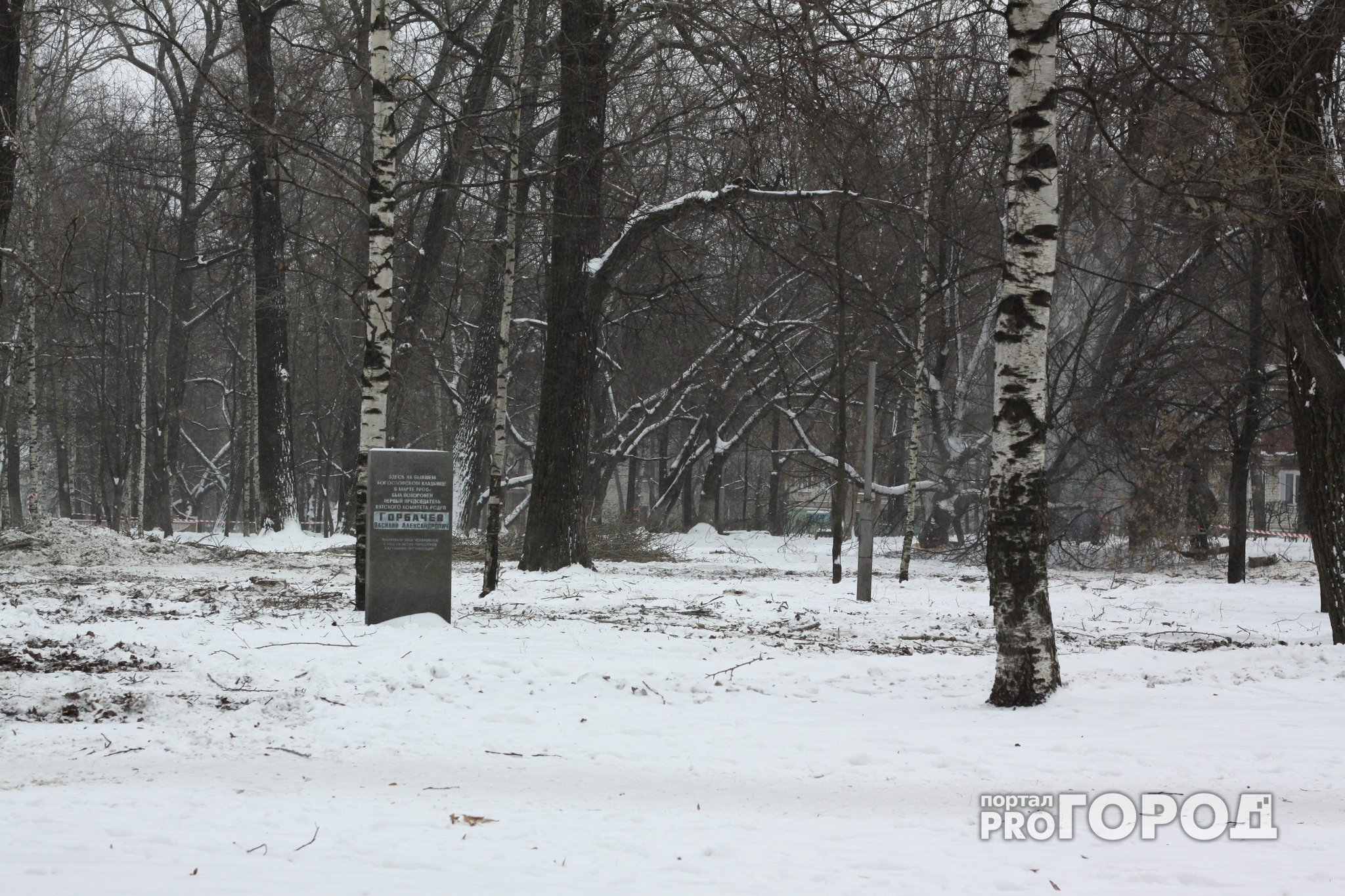 Коротко о погоде: Ярославль ждет снег и плюсовая температура