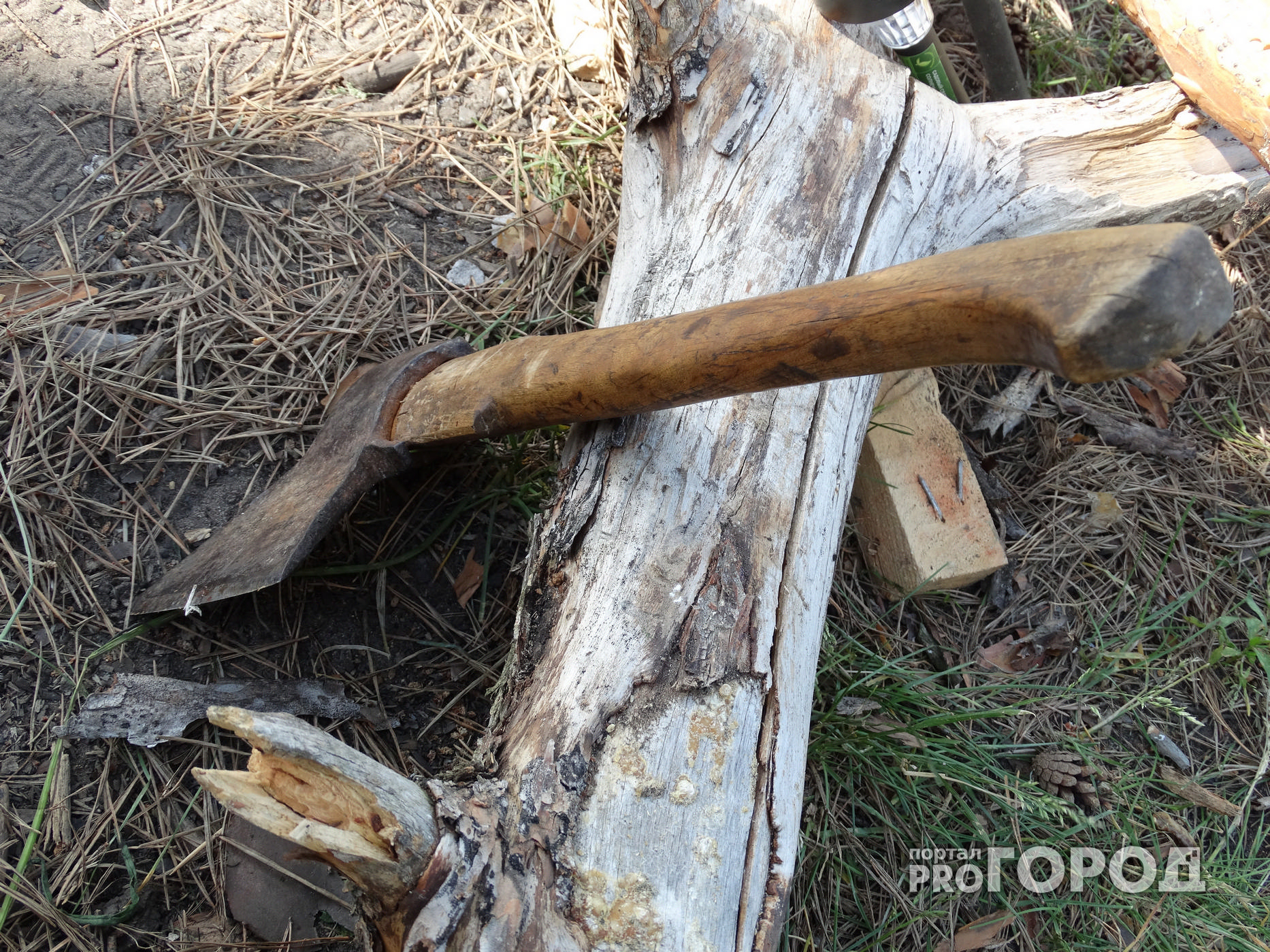 В Ярославле срубили деревьев почти на три миллиона рублей